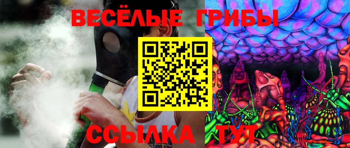 Петрозаводск  Псилоцибиновые грибы мицелий  Вход с VPN 