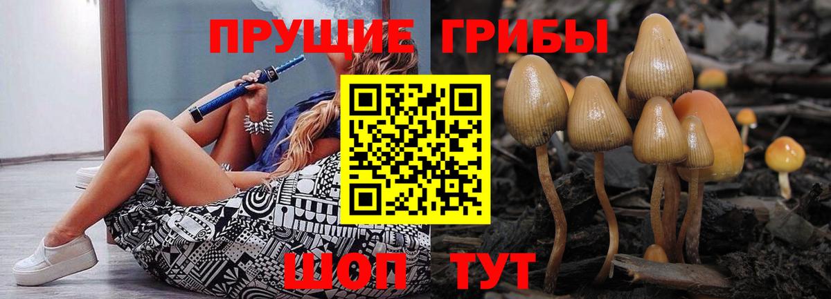Псилоцибиновые грибы ЛСД Петрозаводск