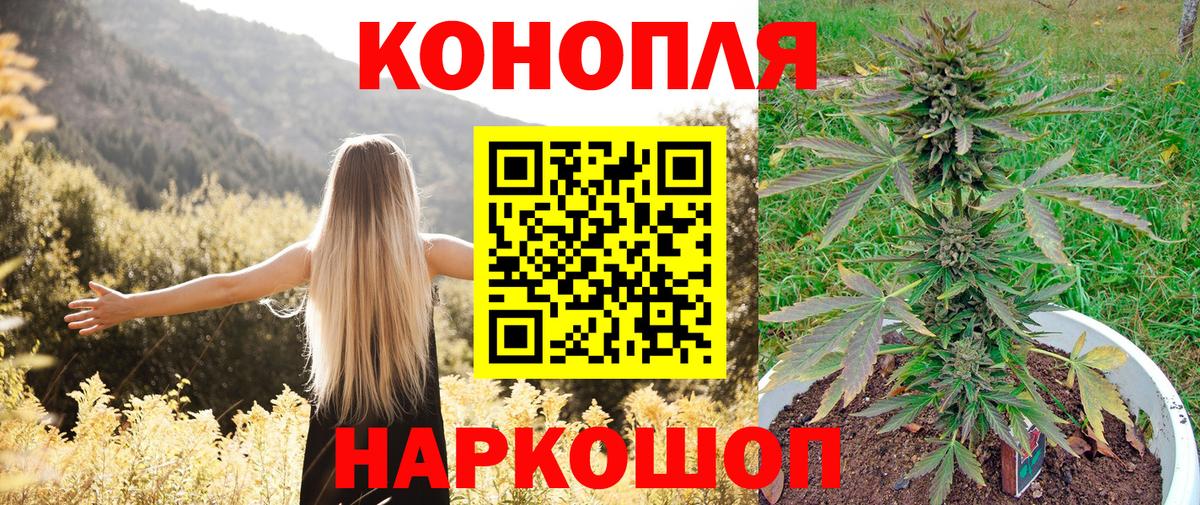 Бошки Шишки AK-47  МАРИХУАНА сатива  Петрозаводск  Вход с VPN  Каннабис AK-47 